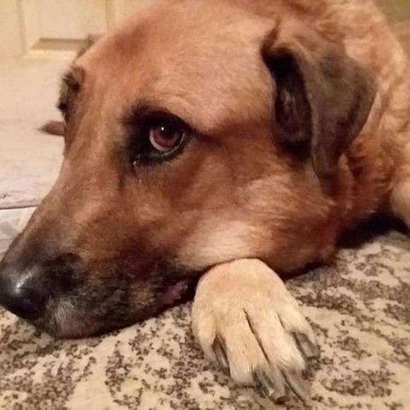 Meet your Posher, Tim - Picture 1 of 1